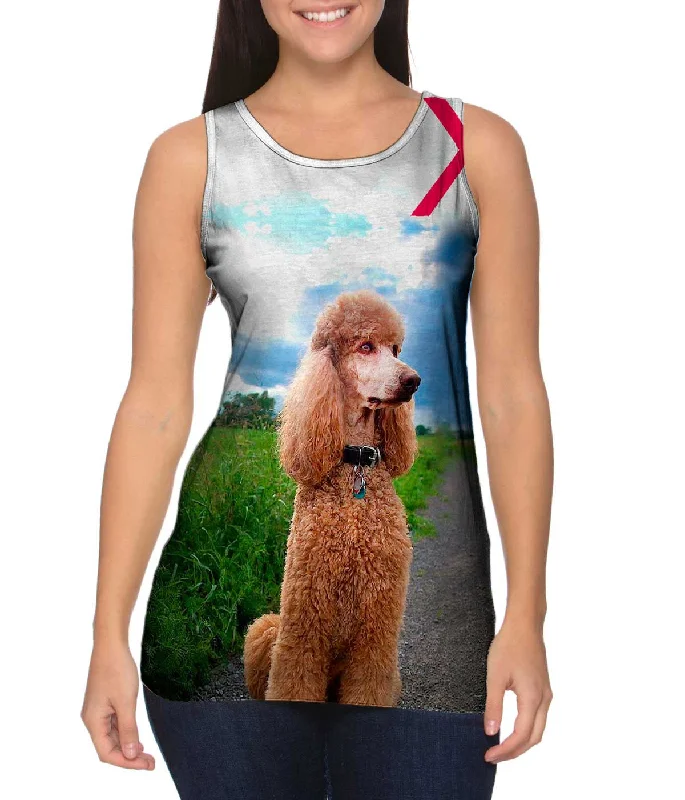 Everyday Outfits Aspiring Poodle Outdoors