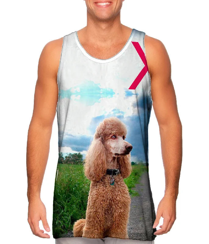 Chic Outfits Aspiring Poodle Outdoors